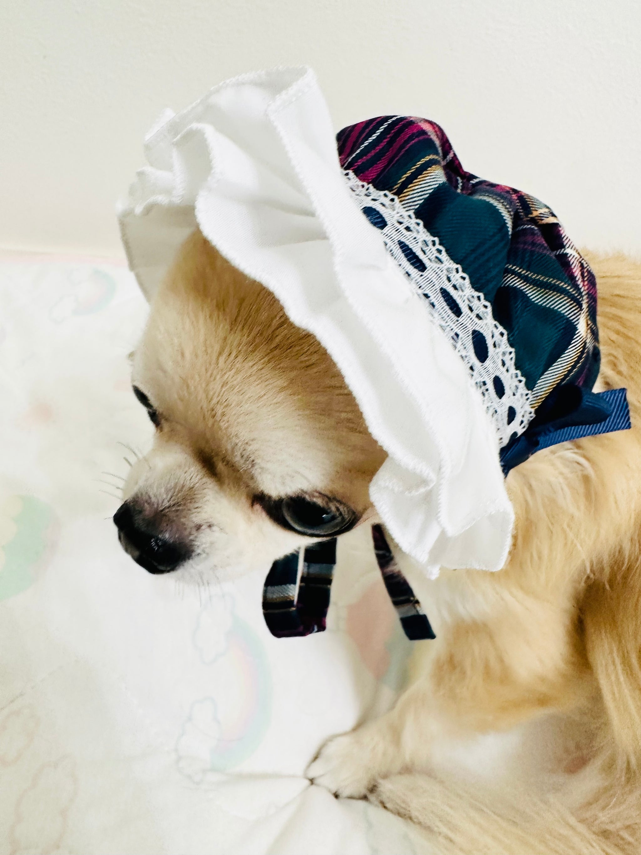 SALE – Candy Buppie Online