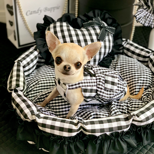 公式】Candy Buppie Online Store