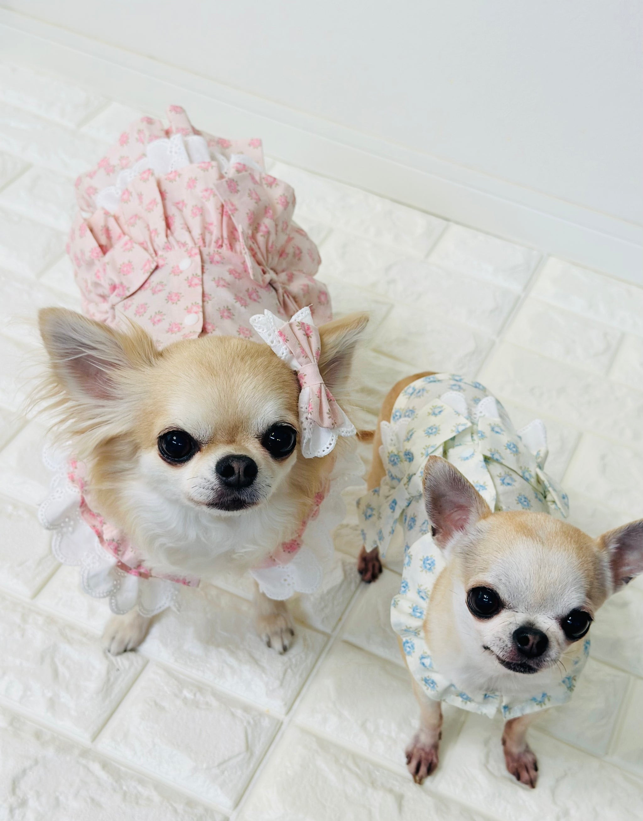 SweetsRabbitワンピ　Candybuppy キャンディブッピー SweetsRabbitワンピ – Candy Buppie Online