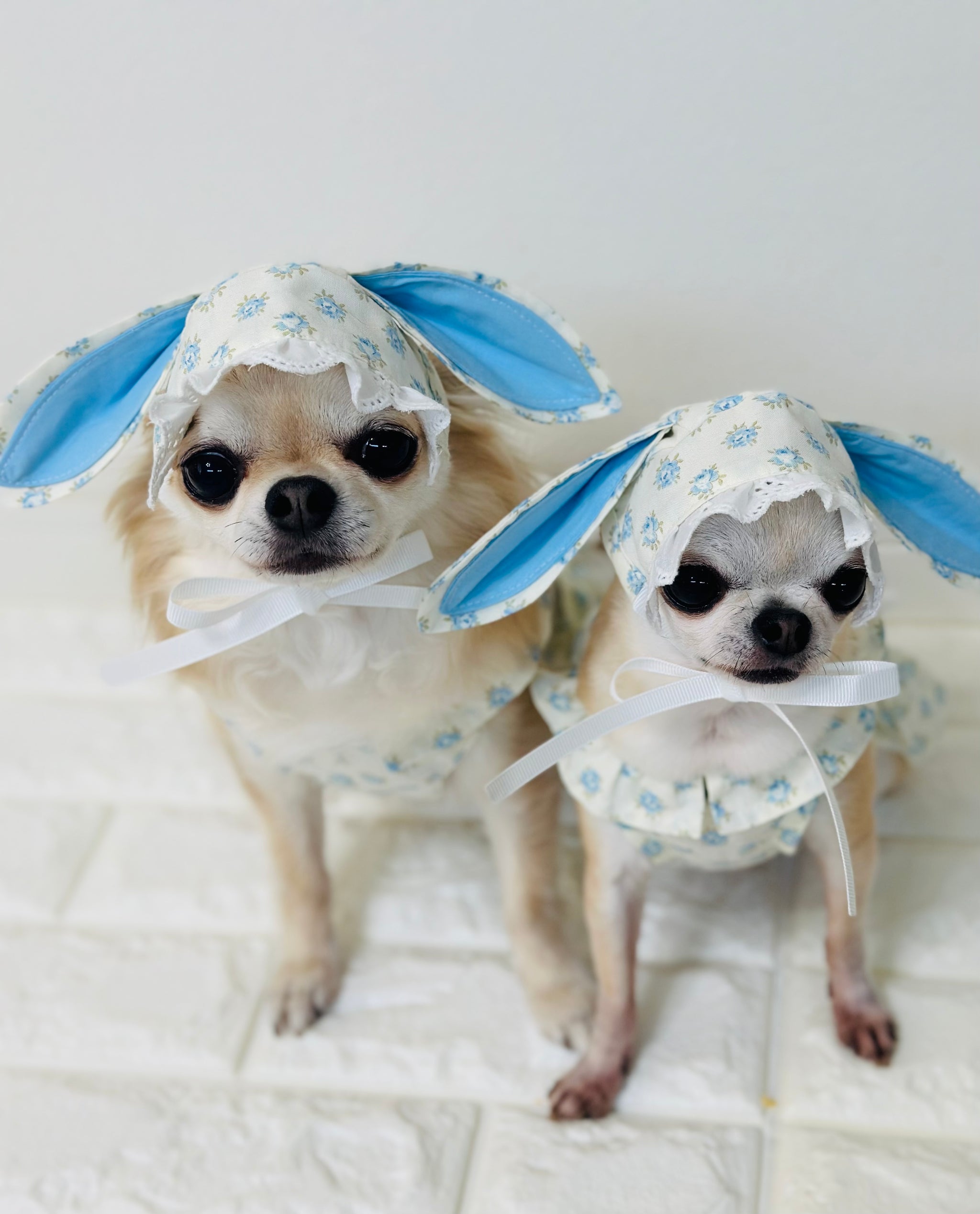 SweetsRabbitRibbonうさみみボンネット – Candy Buppie Online