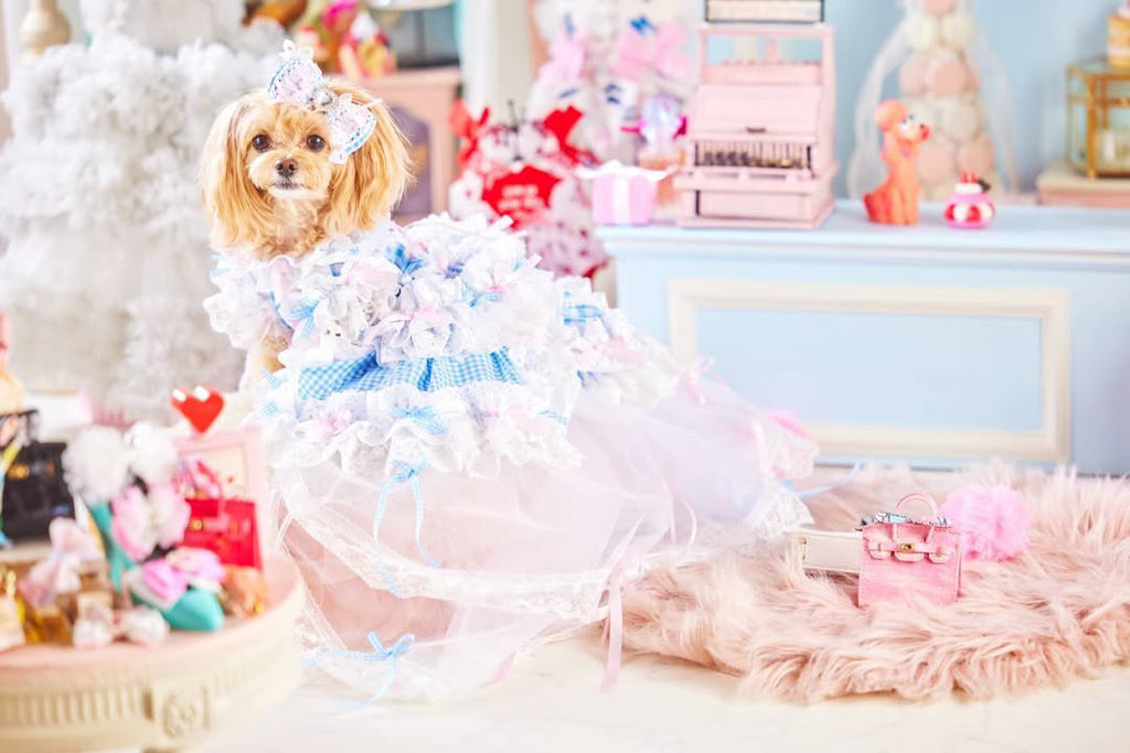 公式】Candy Buppie Online Store