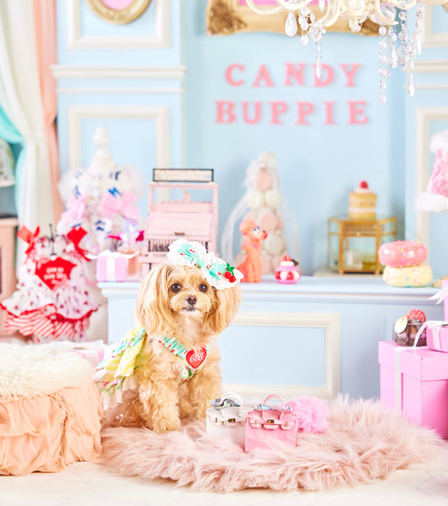 公式】Candy Buppie Online Store