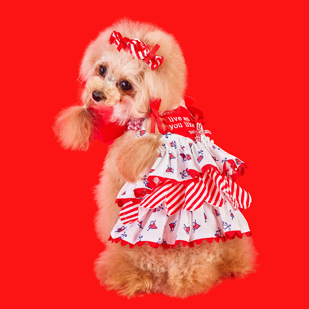 公式】Candy Buppie Online Store
