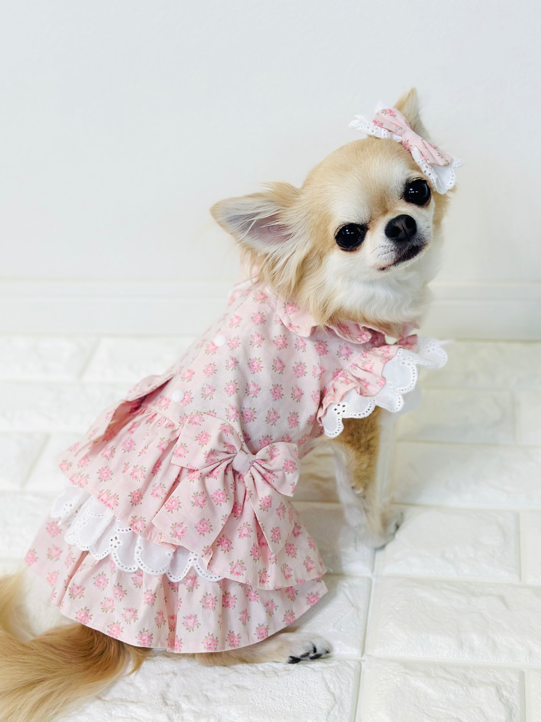 SweetsRabbitワンピ　Candybuppy キャンディブッピー SweetsRabbitワンピ – Candy Buppie Online