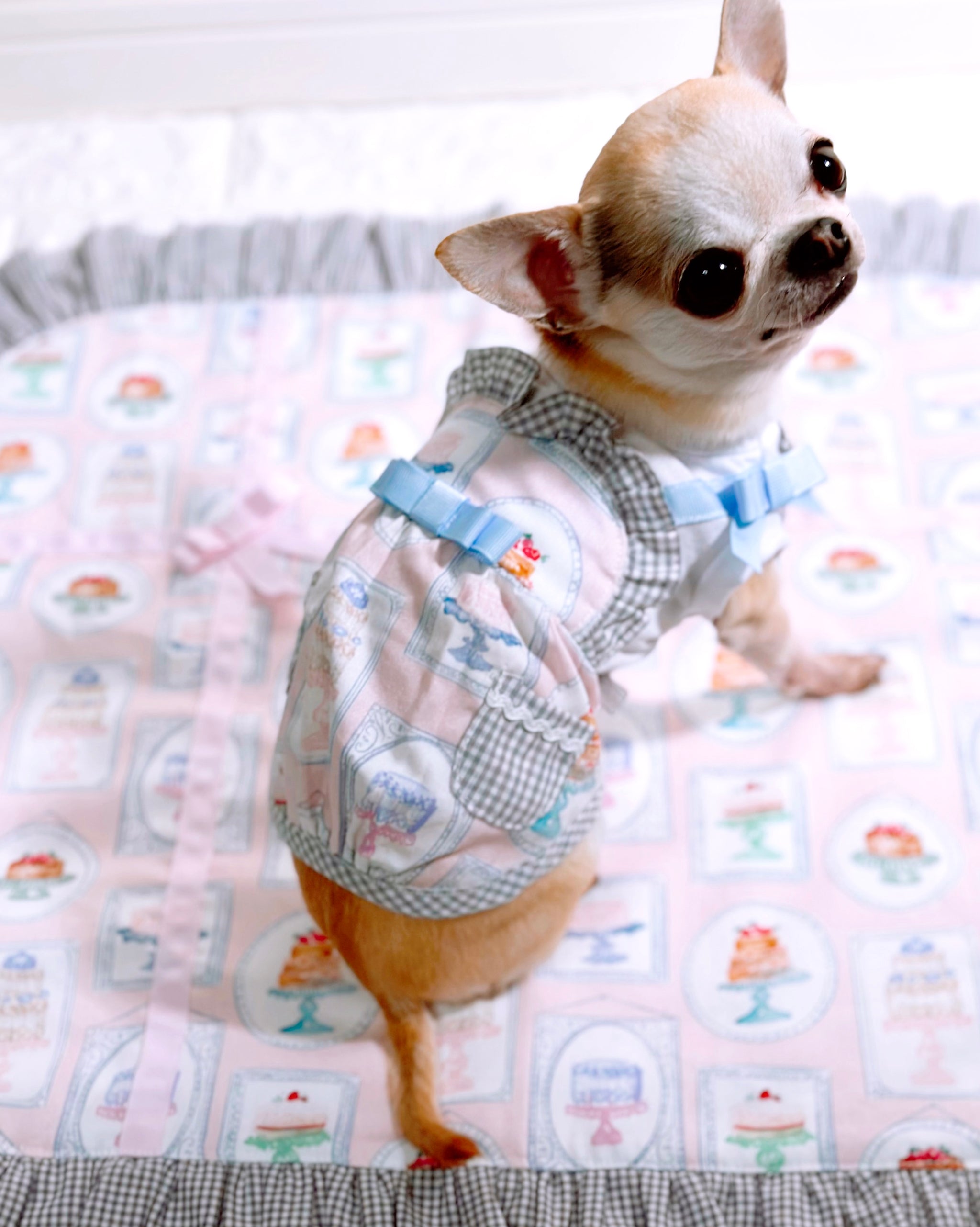candy buppie キャンディブッピー トップス SweetsDolceトップス – Candy Buppie Online