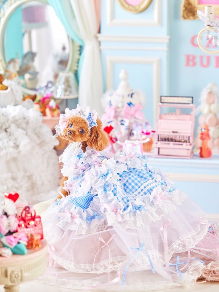 公式】Candy Buppie Online Store