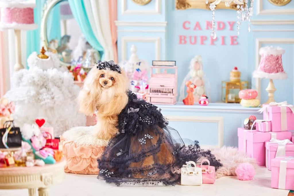 公式】Candy Buppie Online Store