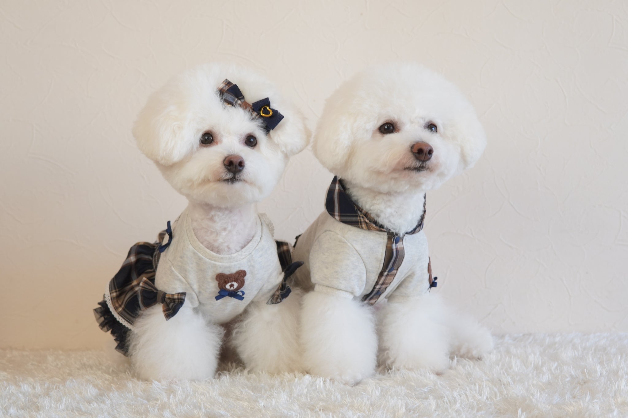 LatteDaysワンピース – Candy Buppie Online