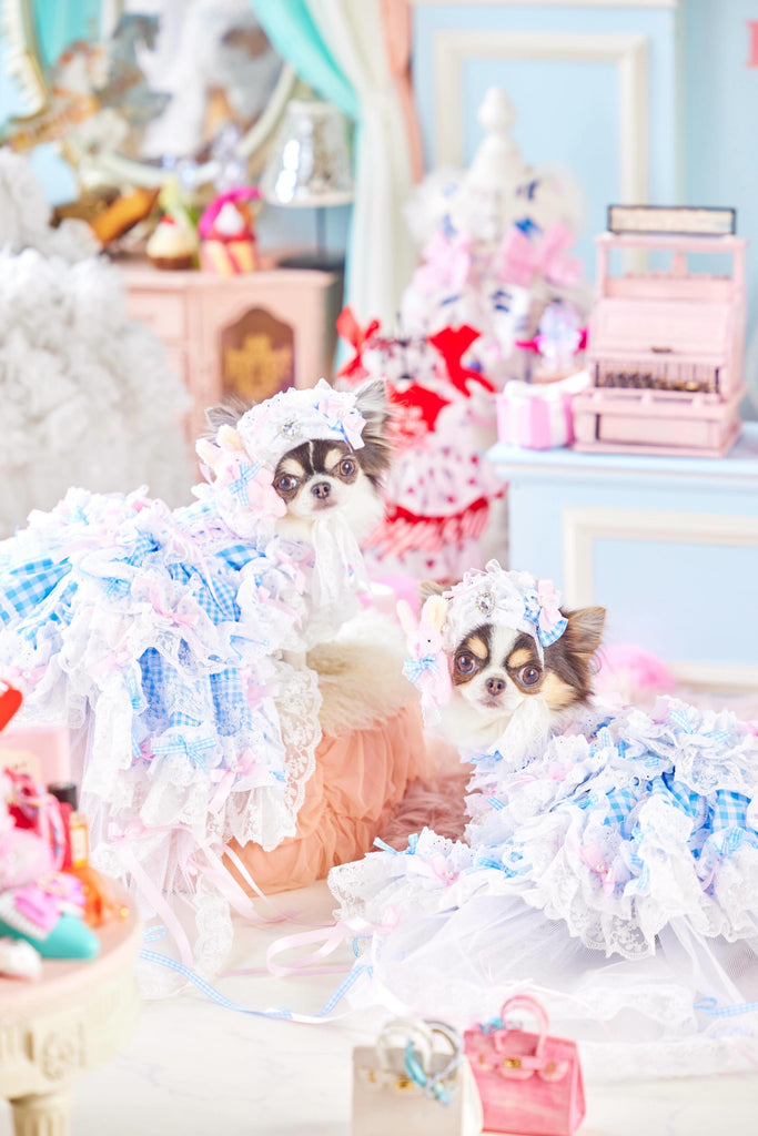 公式】Candy Buppie Online Store