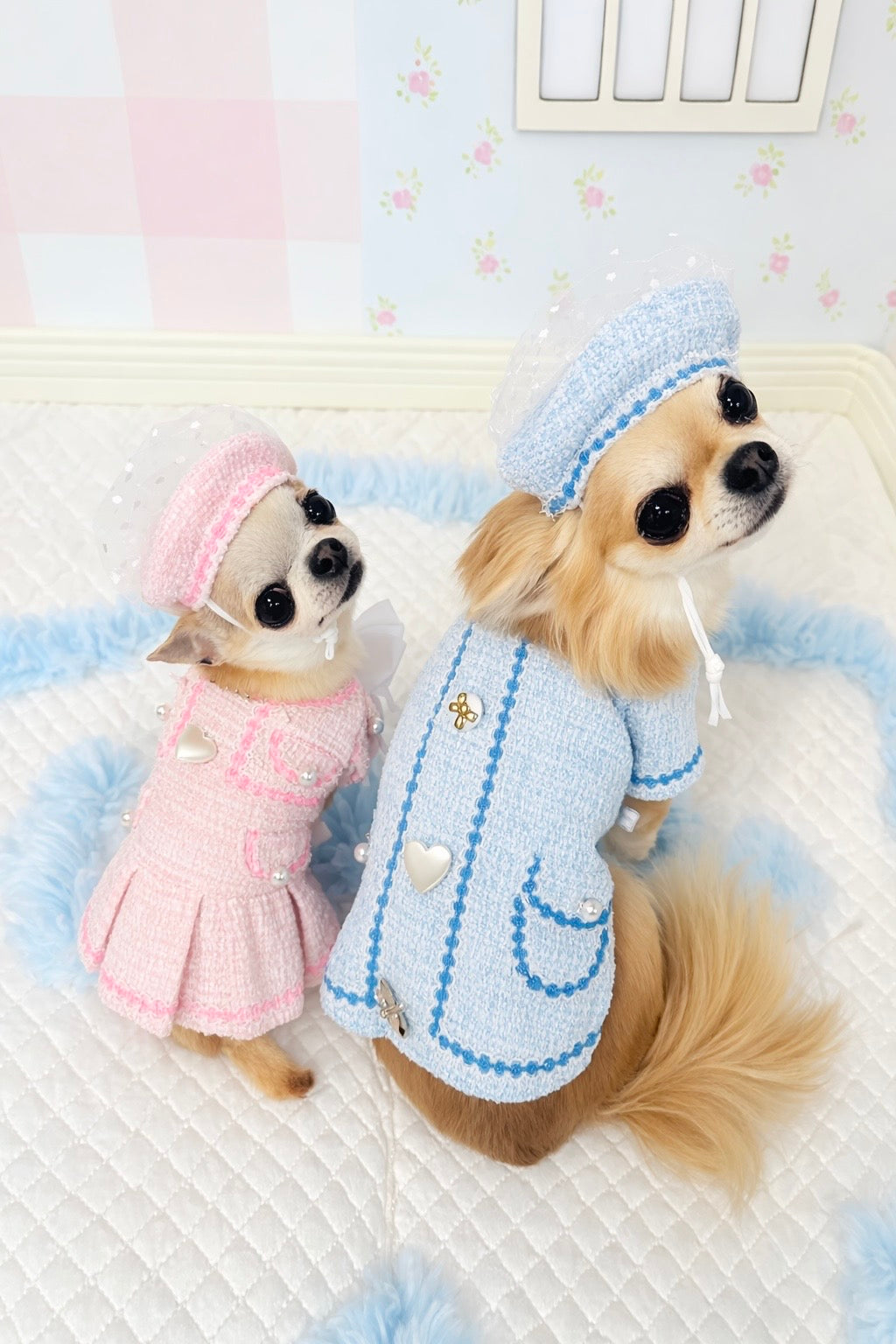 パピリーヒルズ　キャンディブッピー犬服 フリル付きドレス 公式】Candy Buppie Online Store