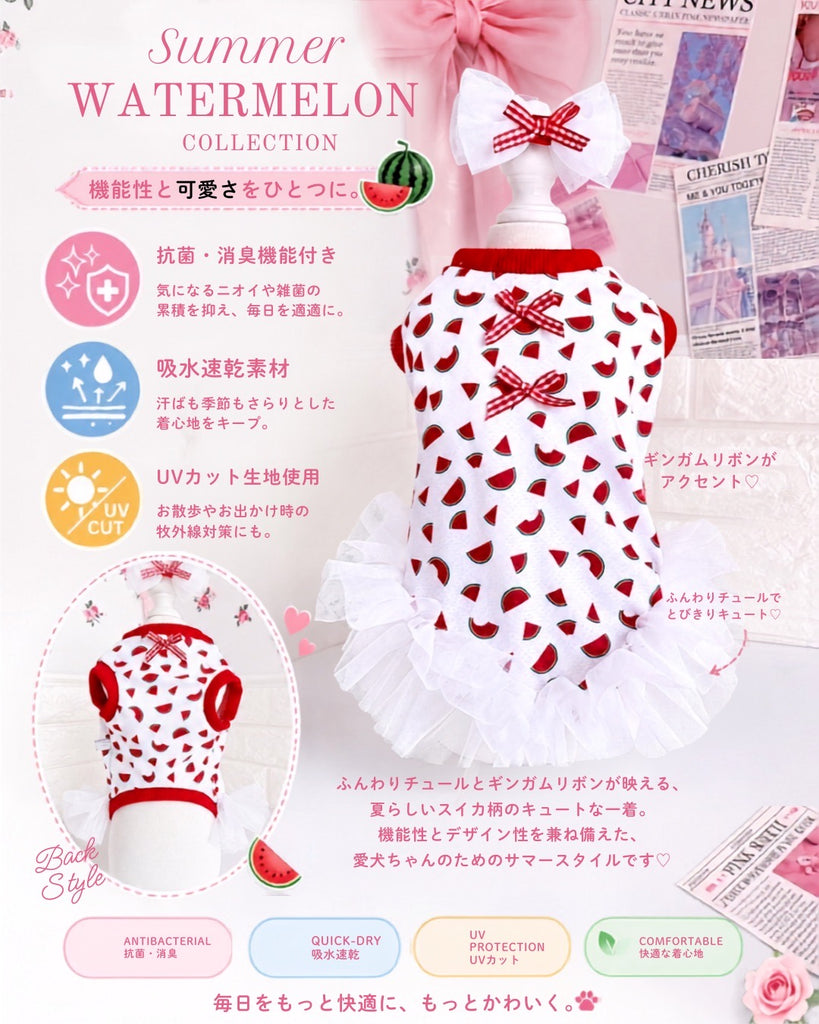 Suicaタンク – Candy Buppie Online