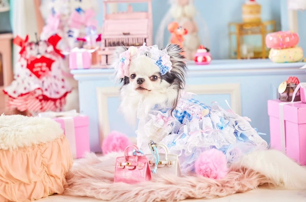 公式】Candy Buppie Online Store