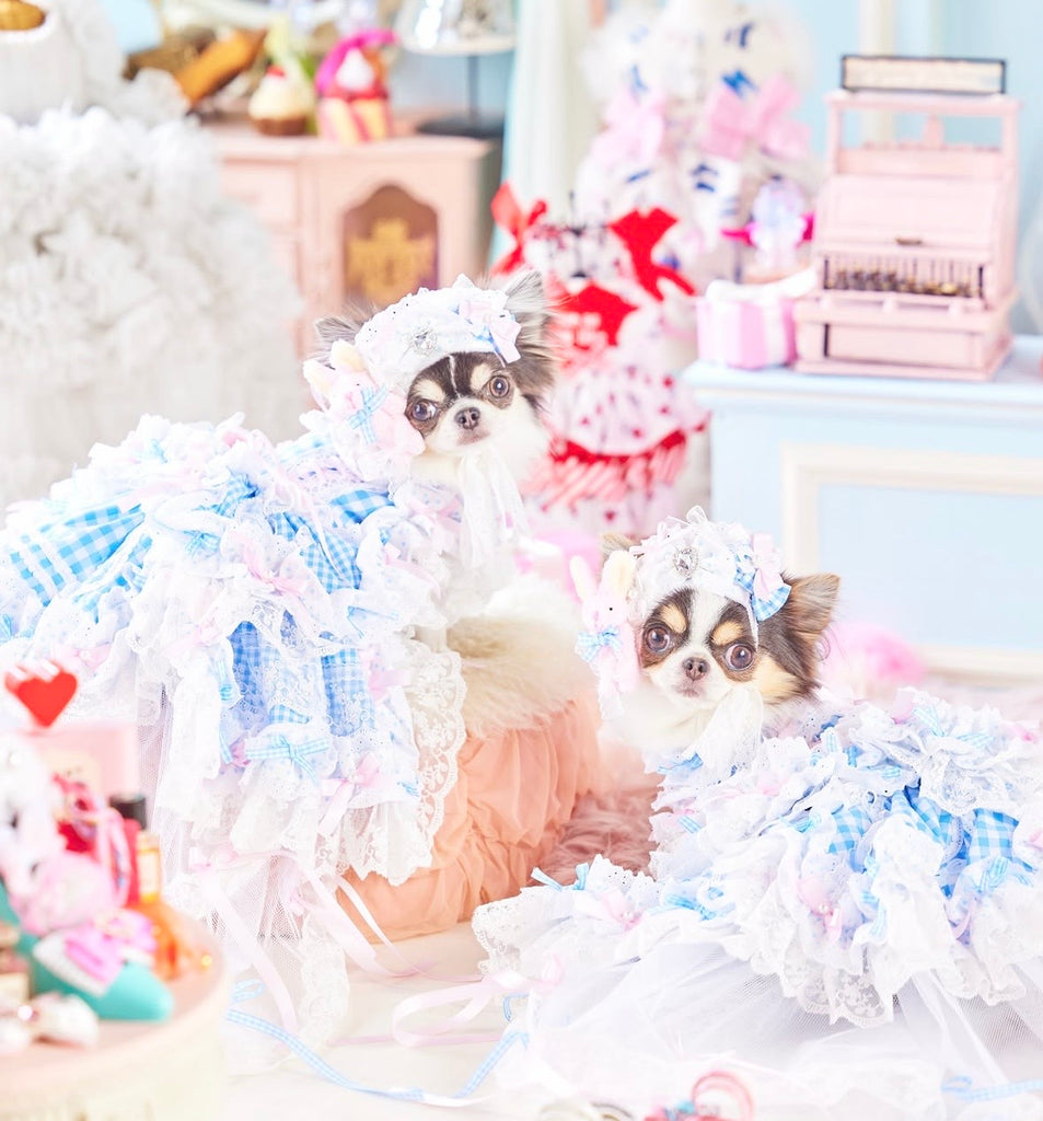 公式】Candy Buppie Online Store