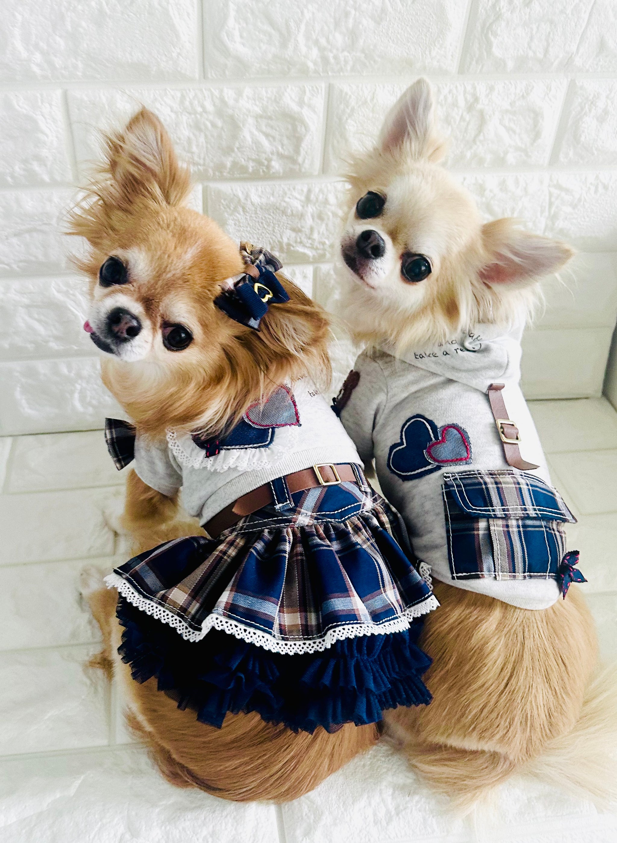 LatteDaysワンピース – Candy Buppie Online