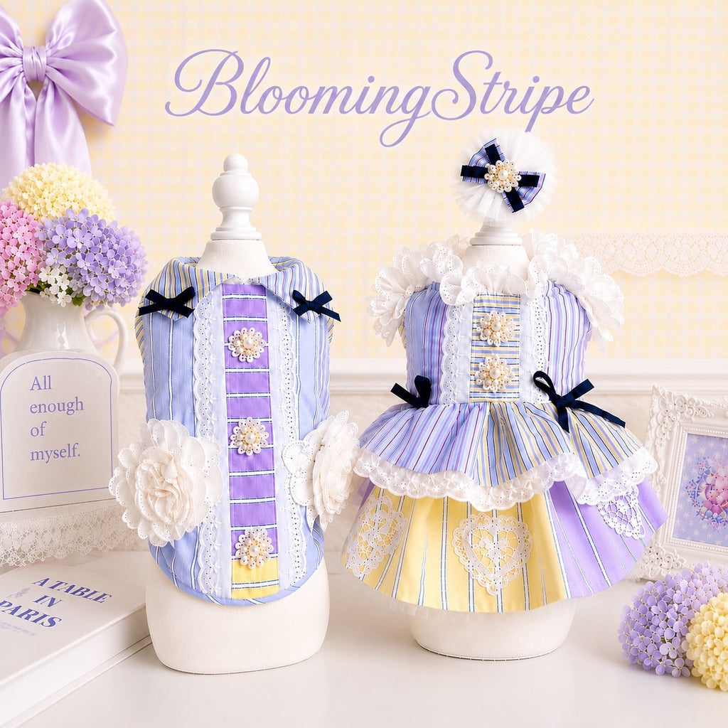 NEW – Candy Buppie Online
