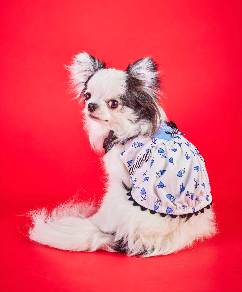 公式】Candy Buppie Online Store