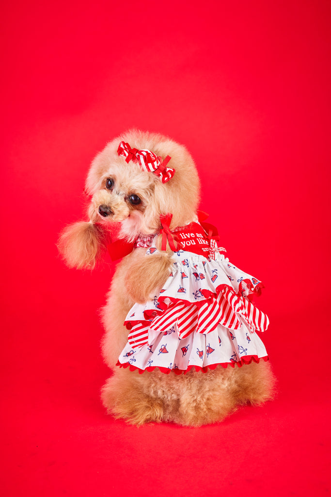 公式】Candy Buppie Online Store