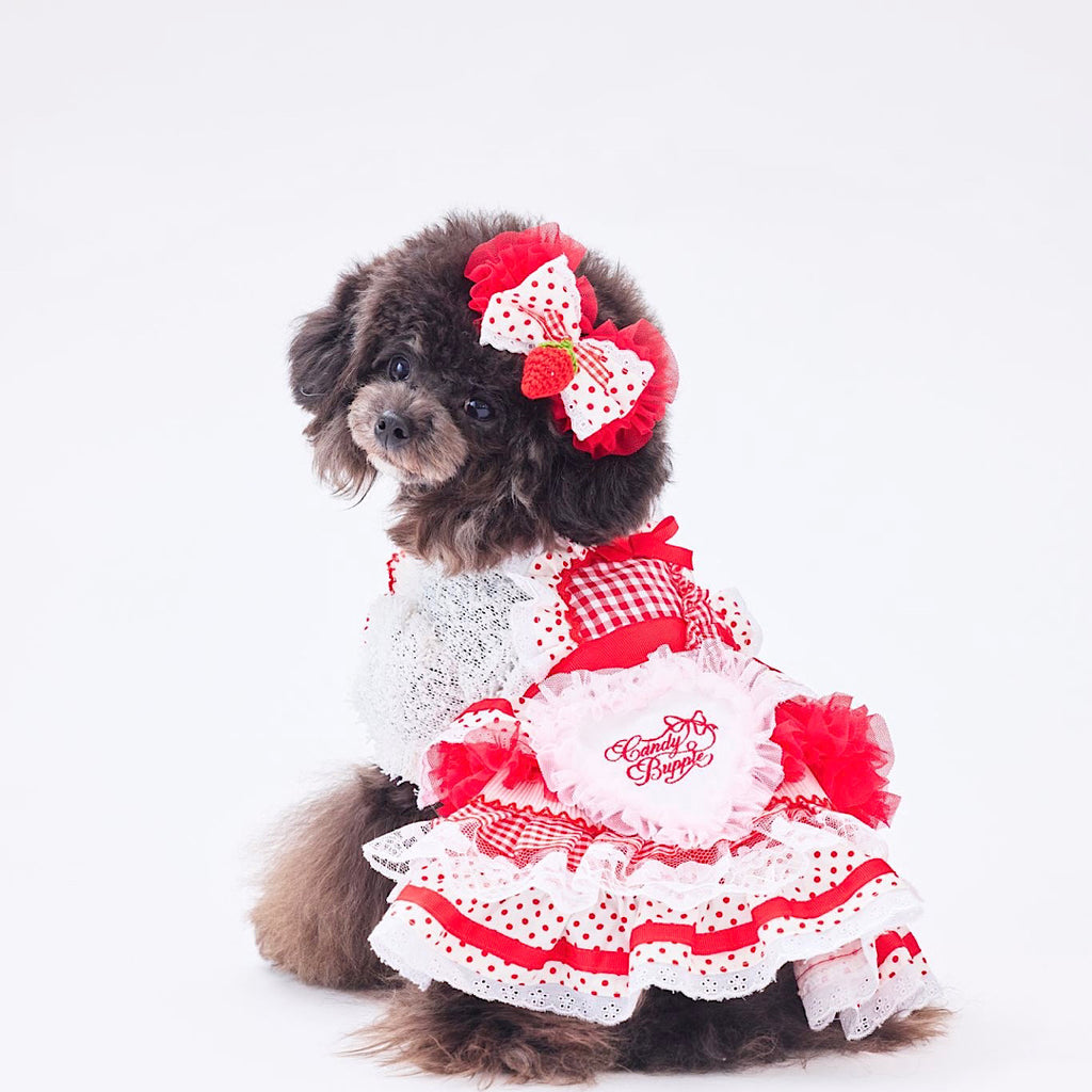 公式】Candy Buppie Online Store