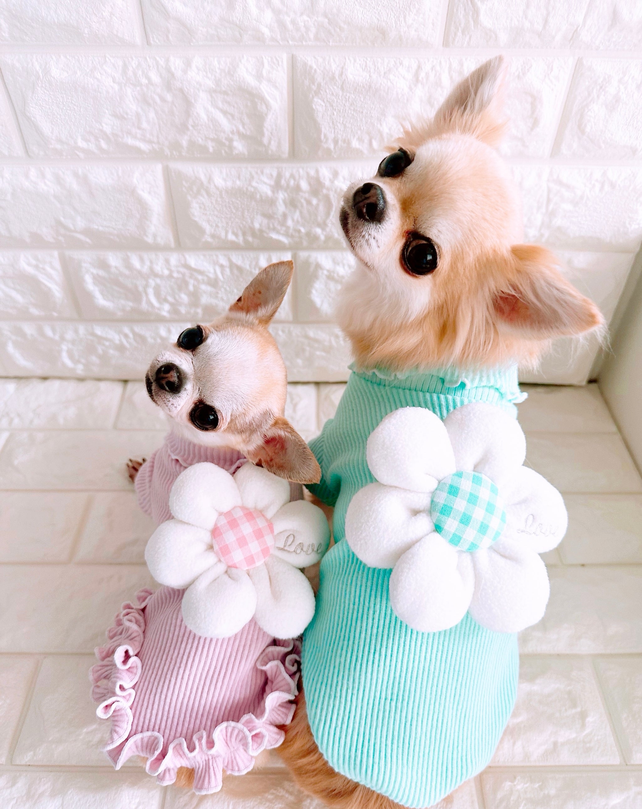 Fashion-Dollワンピ – Candy Buppie Online