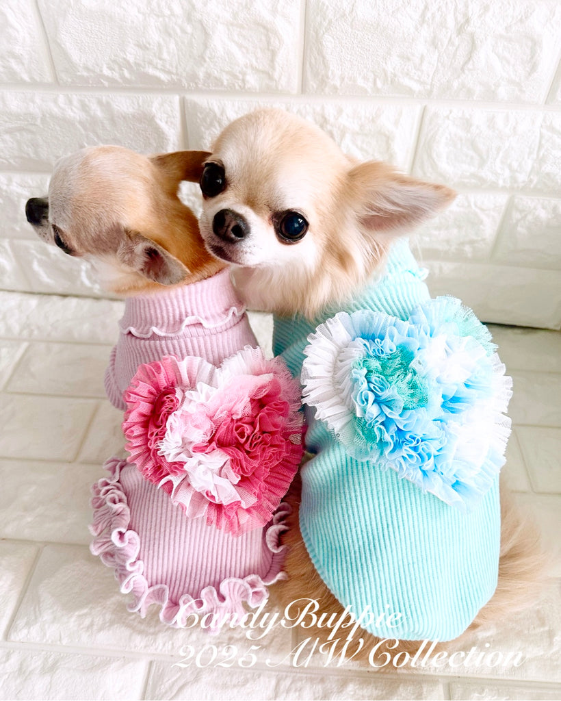 犬服・アクセサリー Candybuppie DB07E1AF-62BE-4514-8799-