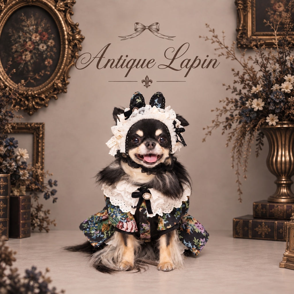 NEW – Candy Buppie Online