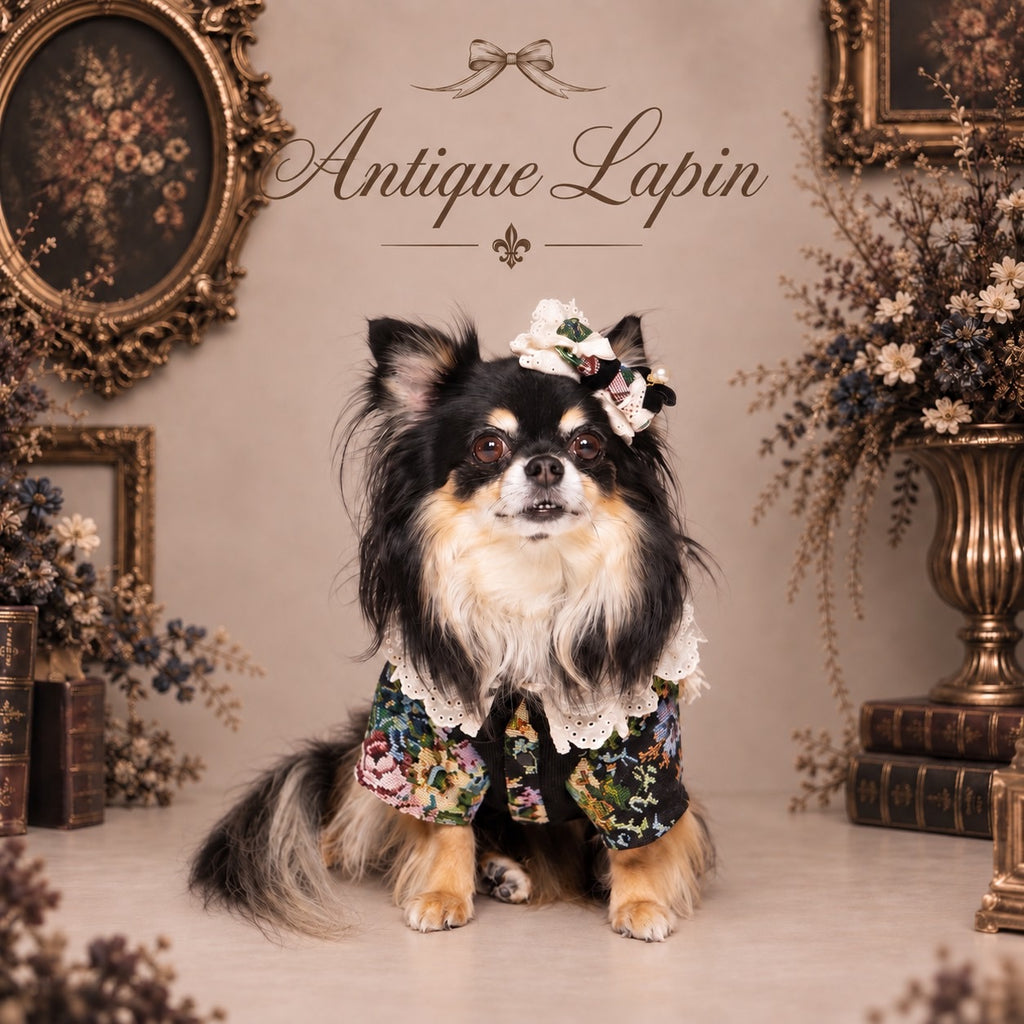NEW – Candy Buppie Online