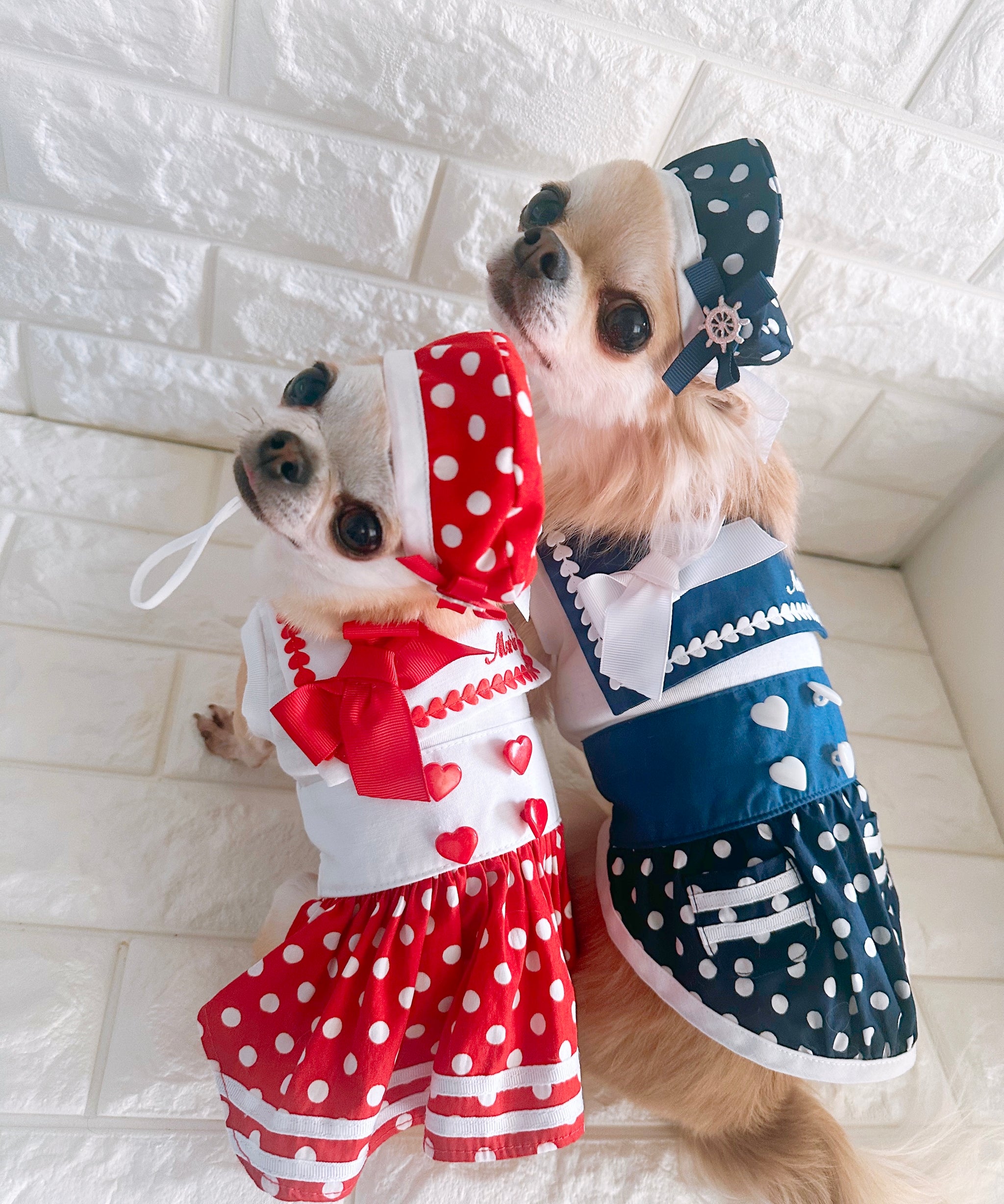 キャンディブッピーBlue Sky sailor M新品未使用 bluesky-sailorトップス – Candy Buppie Online