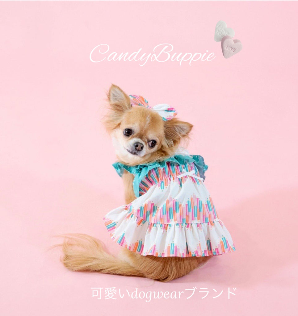 公式】Candy Buppie Online Store