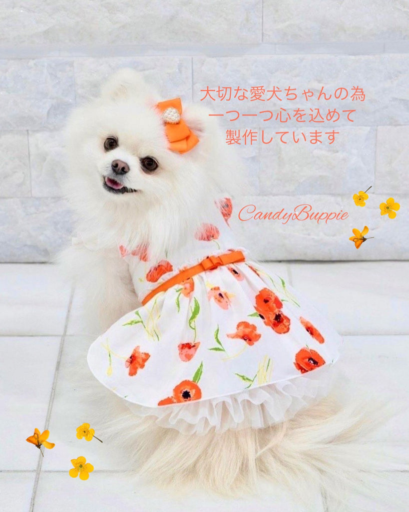 公式】Candy Buppie Online Store