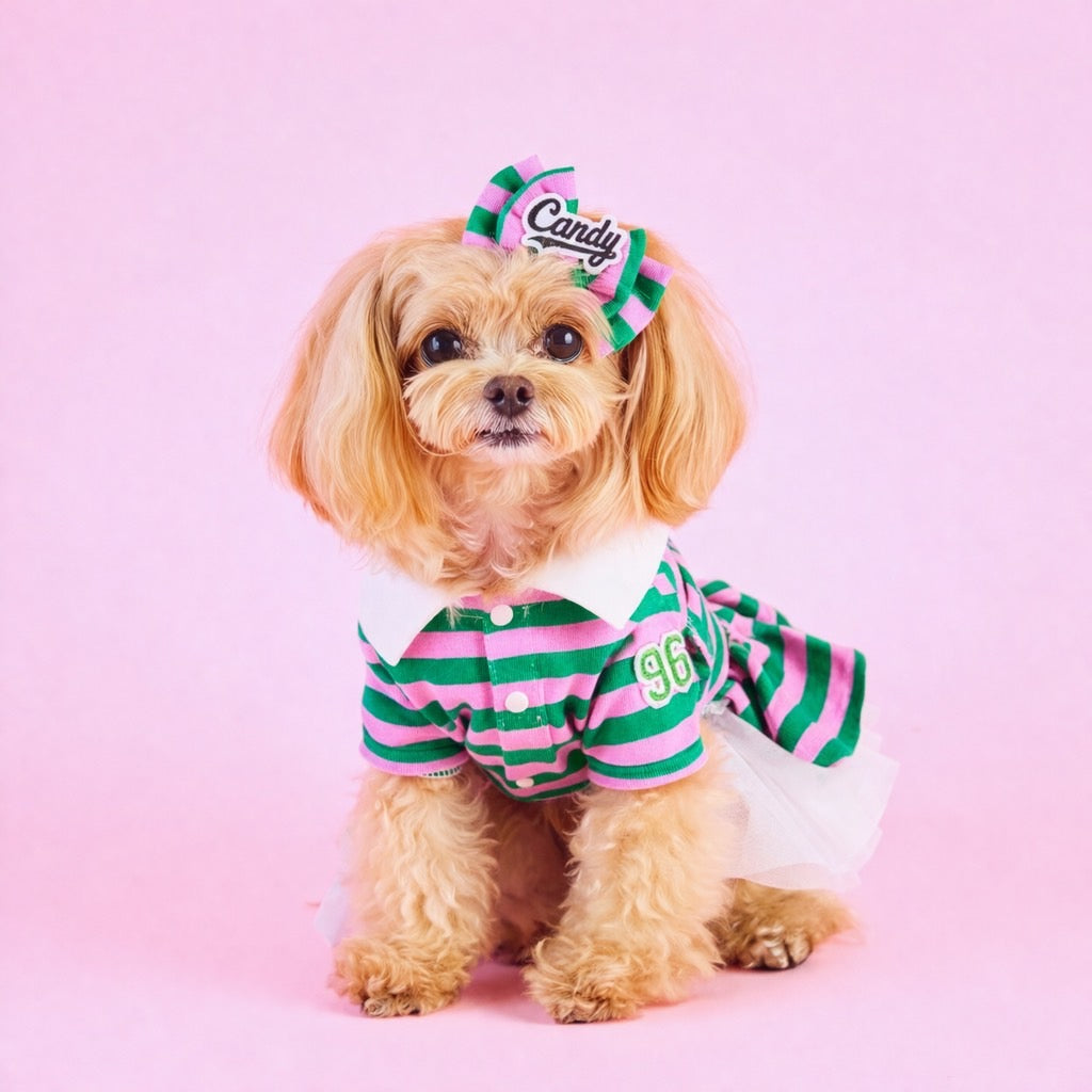 じ*ち様 Candy Buppie 犬服 サイズXS 公式】Candy Buppie Online Store
