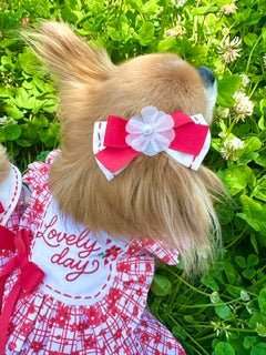 NEW – Candy Buppie Online