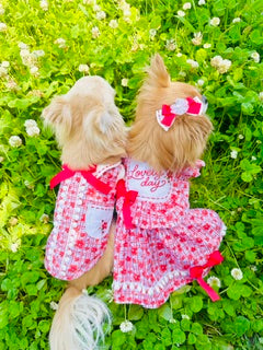 LovelyDayワンピース – Candy Buppie Online