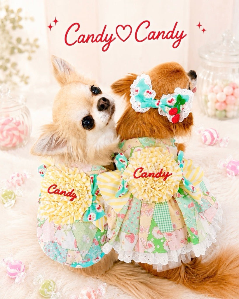 公式】Candy Buppie Online Store