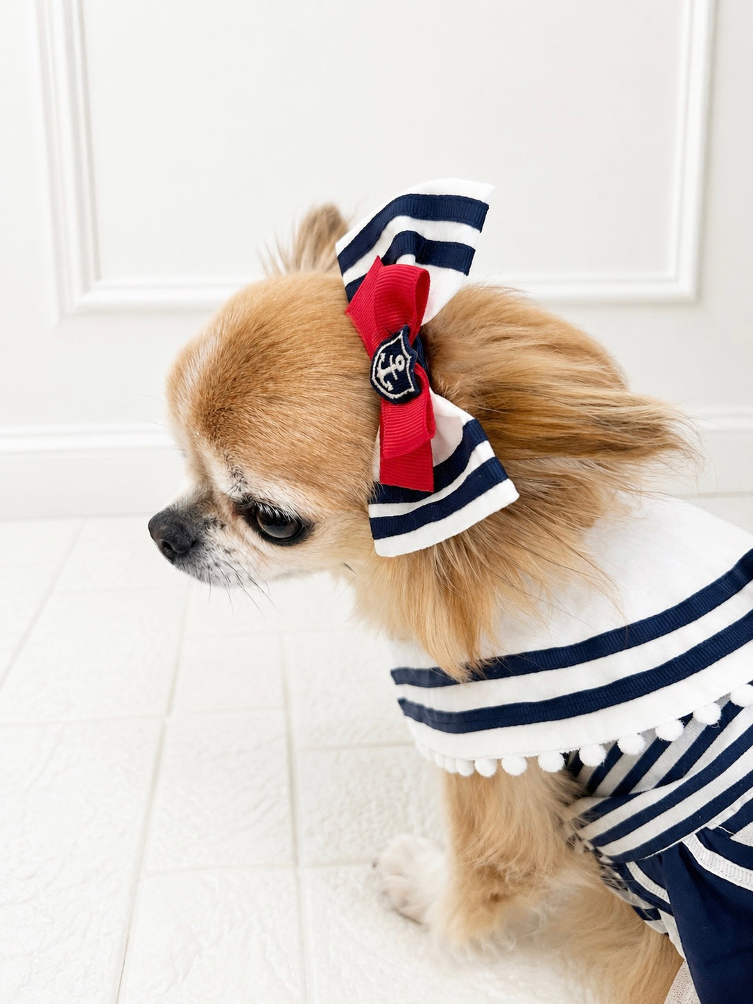 NEW – Candy Buppie Online
