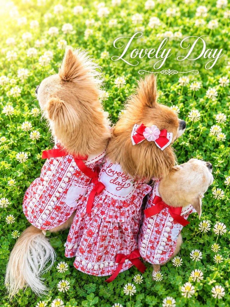 公式】Candy Buppie Online Store
