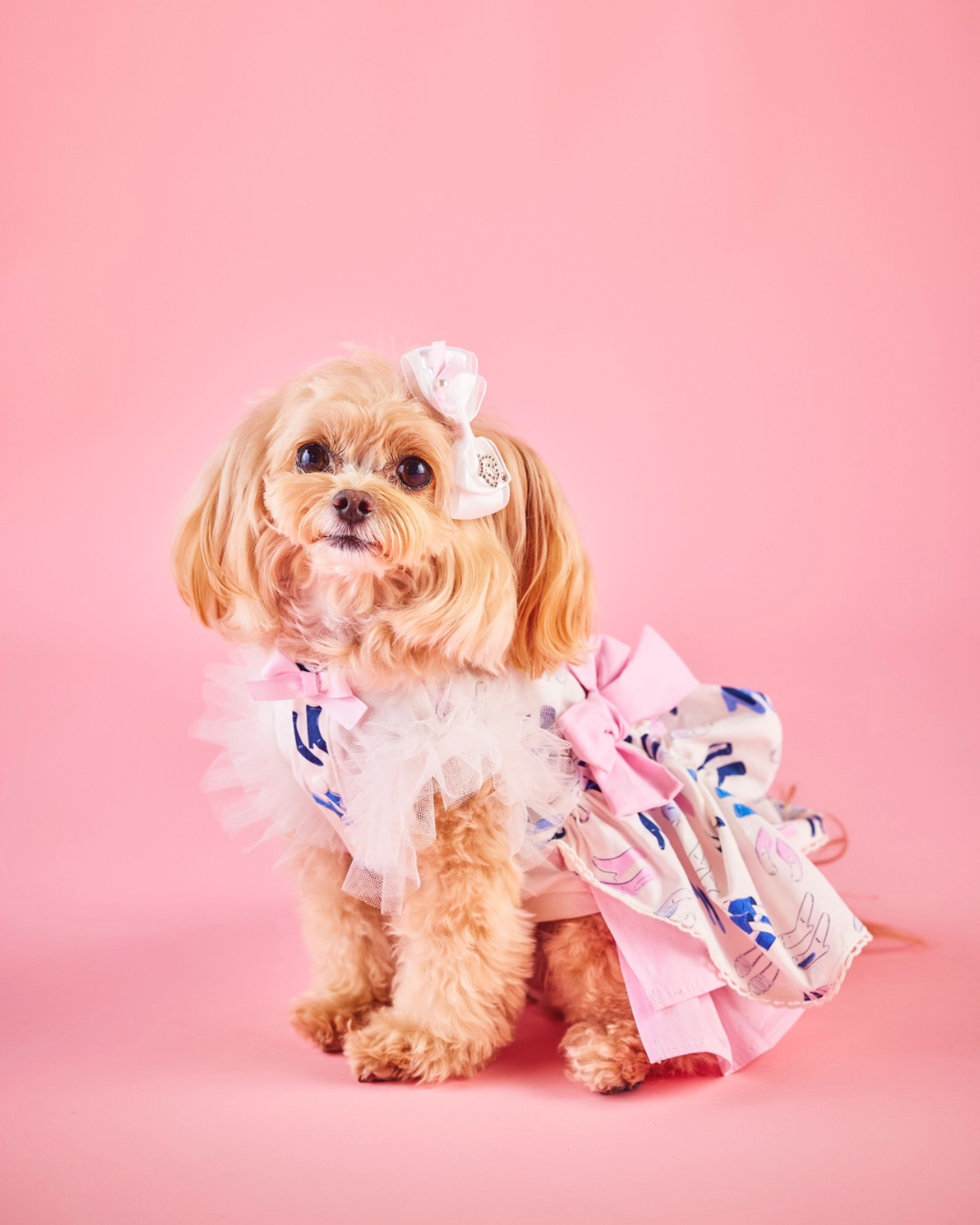 candybuppie Deimに恋してワンピース XXS Dreaming Princess ワンピース – Candy Buppie Online