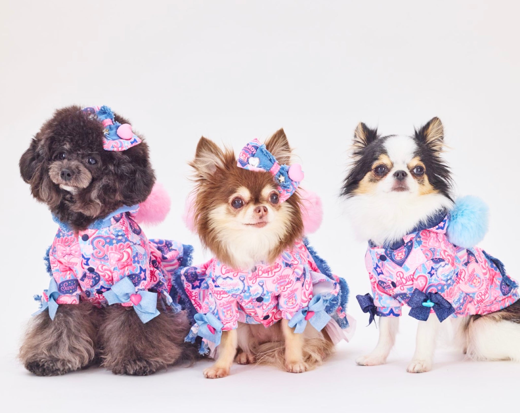 PoppingCandyトップス – Candy Buppie Online
